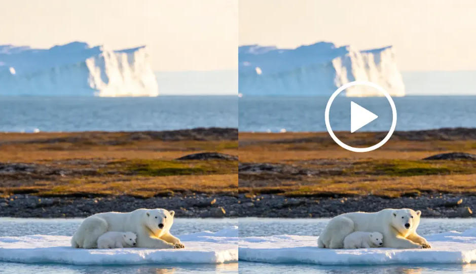 AI Image to Video Generator Free: 15 Best Tools Actually Tested (2026)